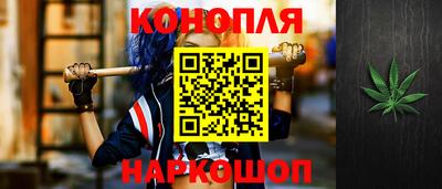 СК Дубна