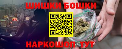 СК Дубна
