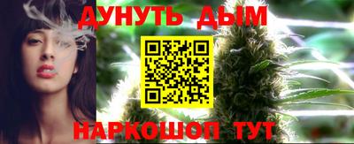 СК Дубна