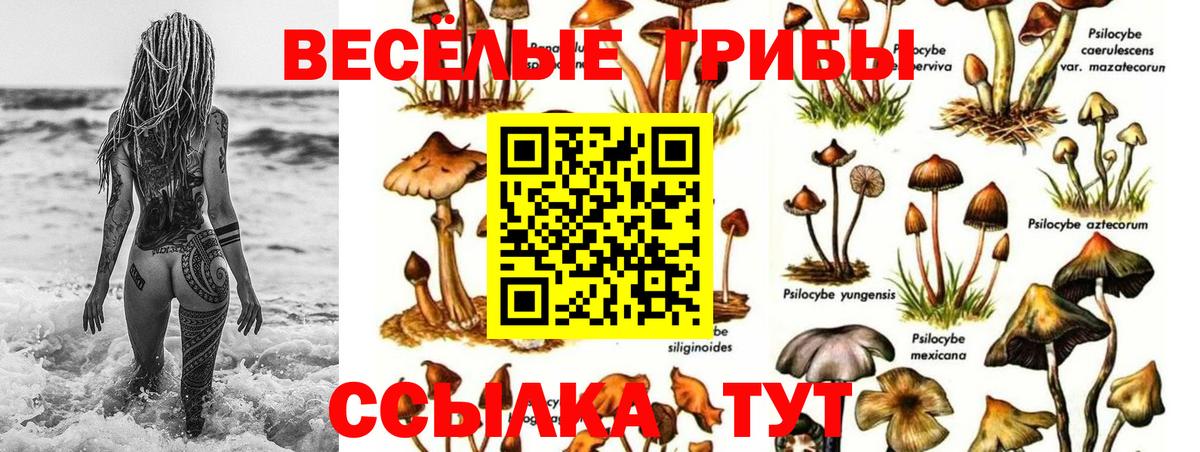 Псилоцибиновые грибы MAGIC MUSHROOMS Ижевск