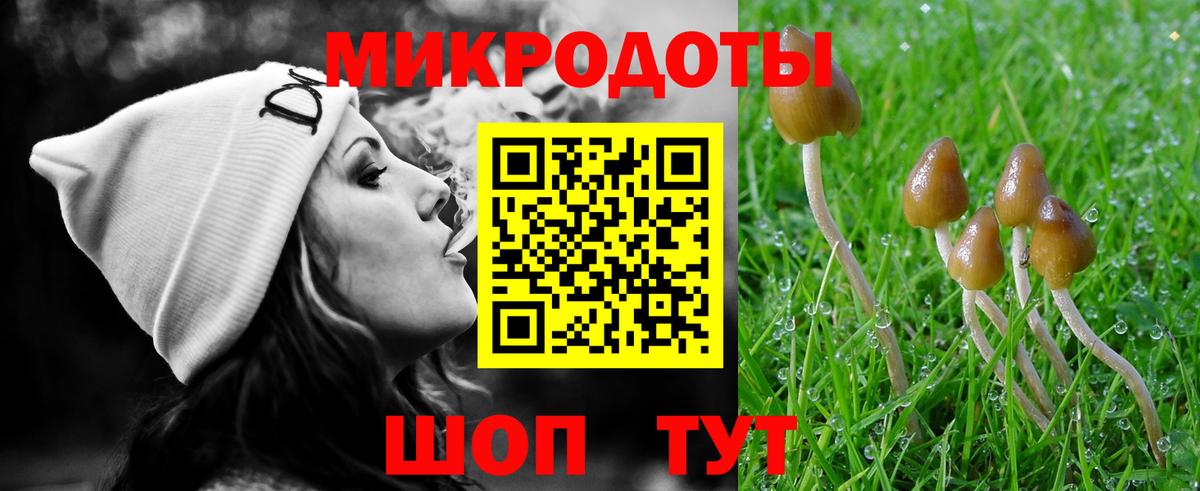 Ижевск  Псилоцибиновые грибы MAGIC MUSHROOMS  Вход с VPN 
